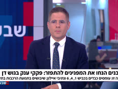 19likodpanel_vtr2_n20260611_v1 (צילום: חדשות)
