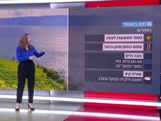 20mezeg_vtr2_n20260611_v1 (צילום: חדשות)
