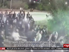 20yulanvtr_vtr2_n20260611_v1 (צילום: חדשות)
