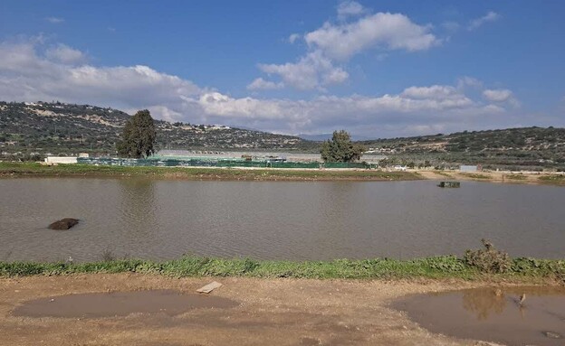 בריכת דיר חנא - גליל תחתון בריכת דיר חנא - גליל תחתון