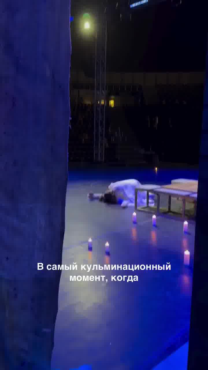 רוסיה: חתול עלה על במת התיאטרון ברגע השיא של "רומיאו ויוליה", וגנב את כל הפוקוס