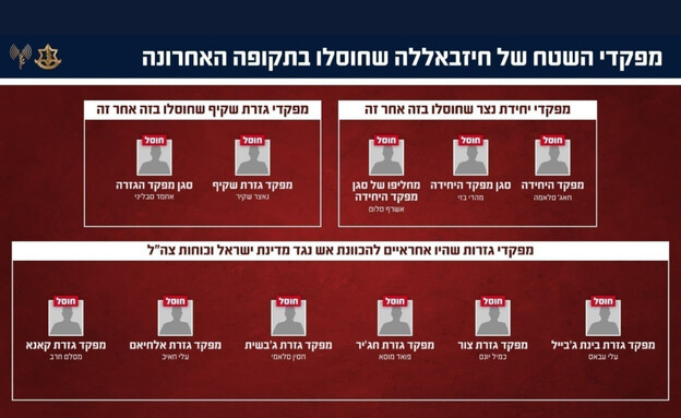 מחבלי חיזבאללה שחוסלו במספר מרחבים בשטח לבנון מחבלי חיזבאללה שחוסלו במספר מרחבים בשטח לבנון