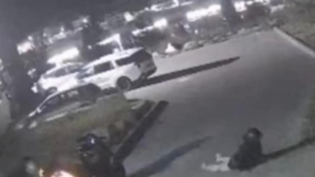 כיפה אדומה בגבעת זאב כיפה אדומה בגבעת זאב