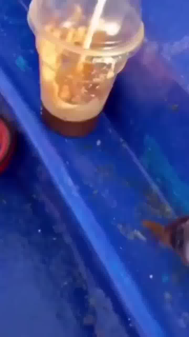 הידעתם? יש מיני טונה שיכולים לשחות במהירות של יותר מ-70 קמ"ש 