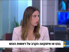 u20dafnaveamnon_vtr2_n20260612_v1 (צילום: חדשות)