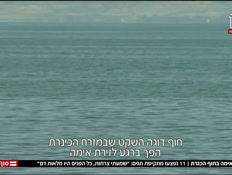 20tanim_vtr2_n20260612_v1 (צילום: חדשות)