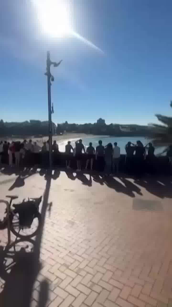 למי שלא מכיר, ככה נשמעת אזעקת ״כריש במים״ באוסטרליה