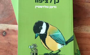 הגידו כן לציפור (צילום: צילום מסך)