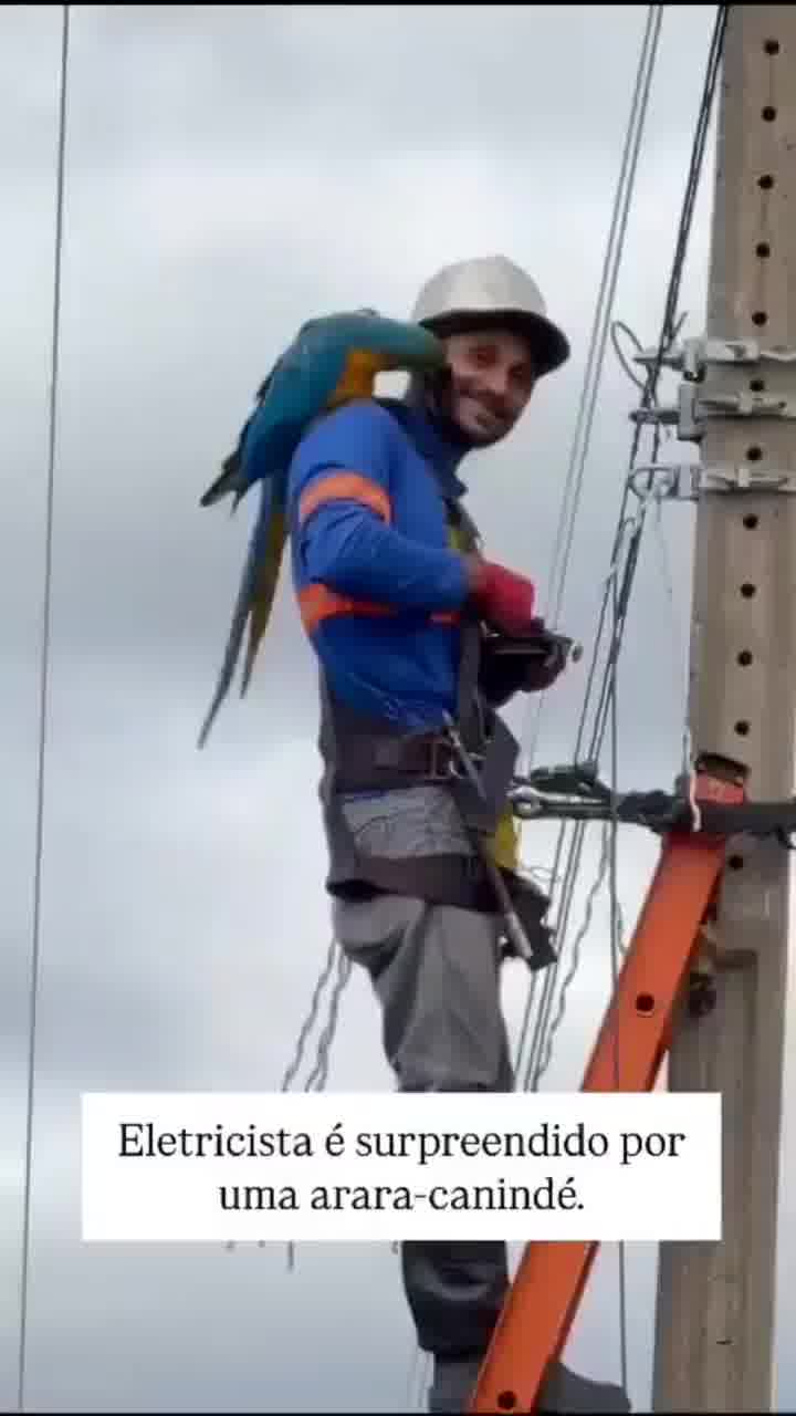 כשאתה מנסה לתקן קו חשמל בברזיל