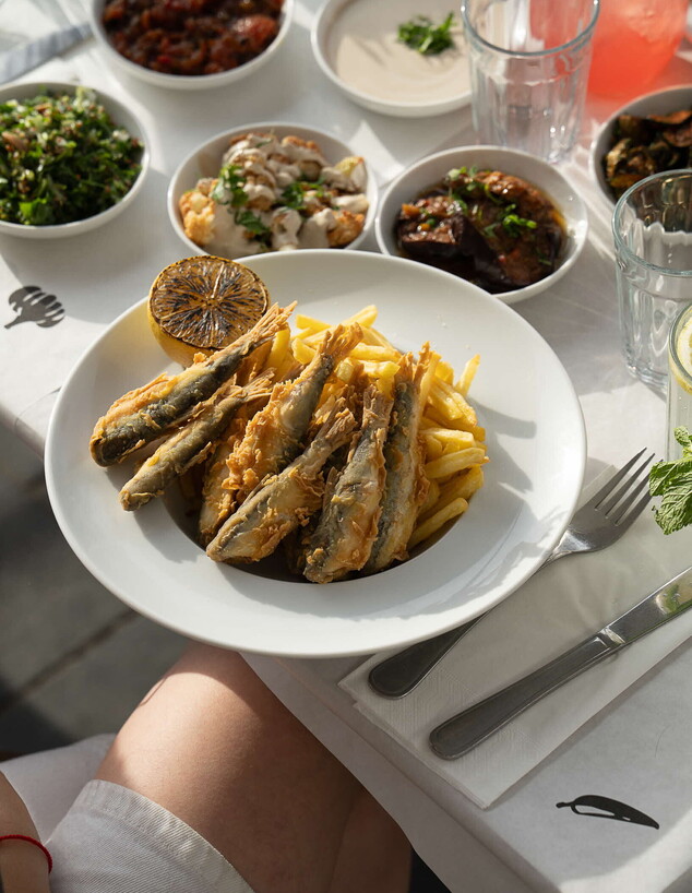 סרדינים מהכנרת. מלח מים סרדינים מהכנרת. מלח מים