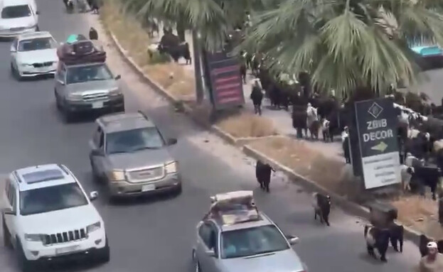 אזרחים נוהרים לדרום לבנון אזרחים נוהרים לדרום לבנון