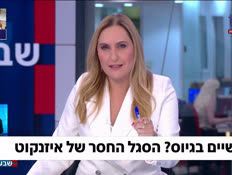 19panelgadi_vtr2_n20260616_v1 (צילום: חדשות)