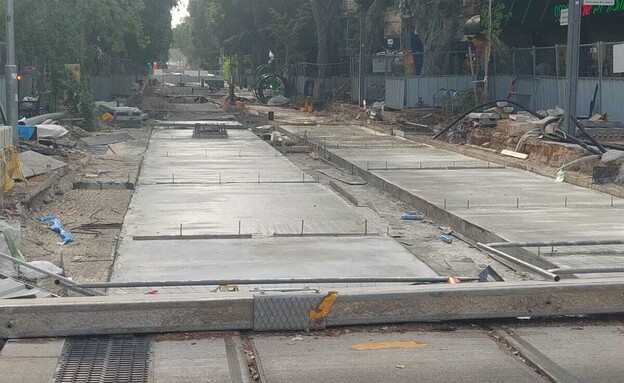 חתולים מכוסים בבטון שהושאר ללא פיקוח חתולים מכוסים בבטון שהושאר ללא פיקוח