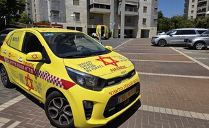זירת הרצח ברחובות  (צילום: תיעוד מבצעי מד"א)