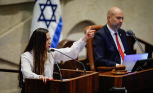 טלי גוטליב (צילום: נועם מושקוביץ, דני שם טוב, דוברות הכנסת)