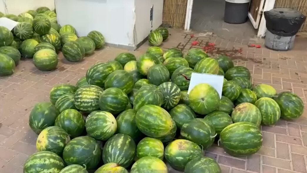 האבטיחים הגנובים האבטיחים הגנובים