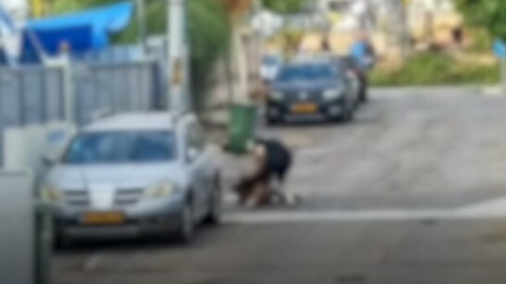 תיעוד: גבר מתנפל על בת 20 באור יום באזור תיעוד: גבר מתנפל על בת 20 באור יום באזור
