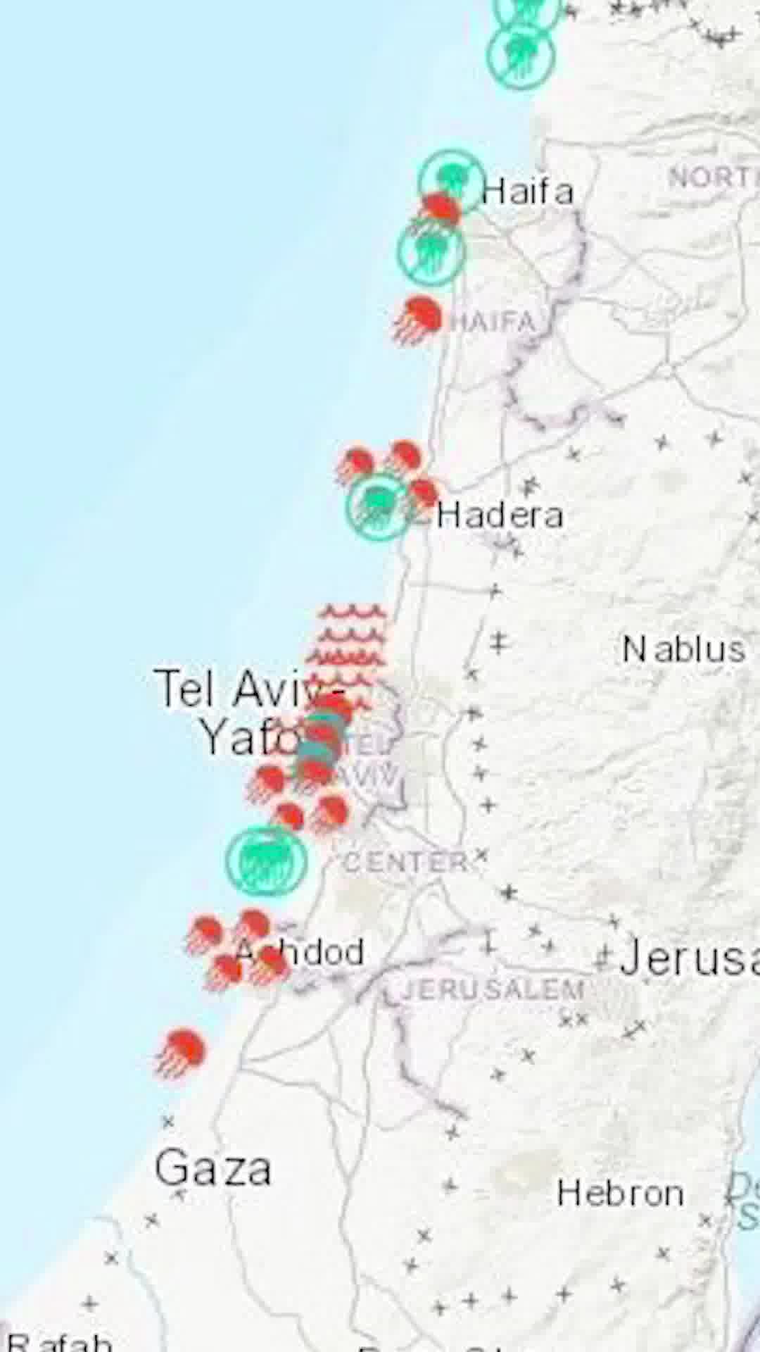 איפה יש הכי הרבה מדוזות? זוהי מפת המדוזות העדכנית לקראת סוף השבוע