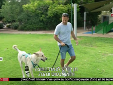 20dog_vtr2_n20260621_v1 (צילום: חדשות)
