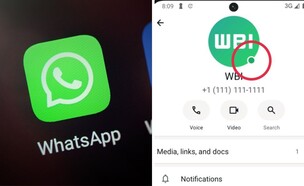 וואטסאפ (צילום: Proxima Studio/wabetainfo, shutterstock)
