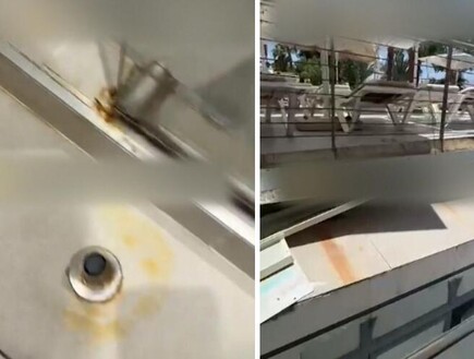 החופשה באילת הפכה לסיוט: "המקלחת הייתה חלודה עם ריח ביוב. בבוקר טיפסו עלינו נמלים"