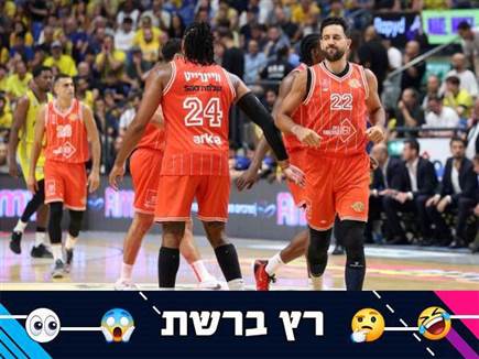 (אלן שיבר)
