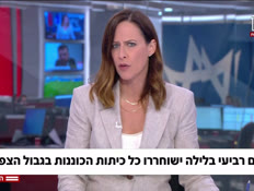 20guy_vtr2_n20260622_v1 (צילום: חדשות)