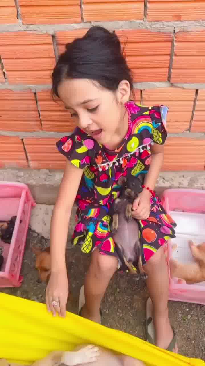 כשהילדה פותחת מעון לגורי כלבים