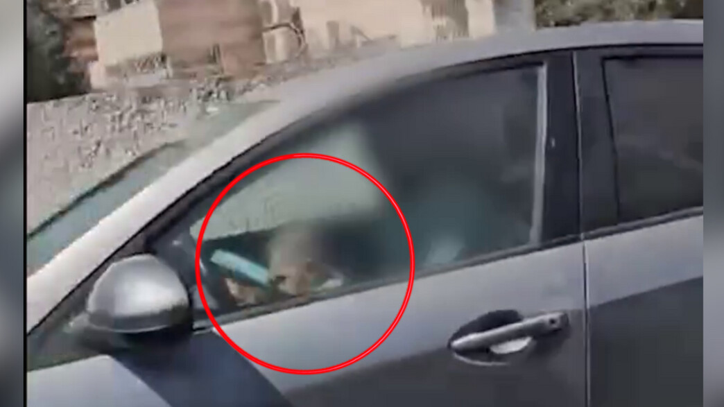 נהג תושב ירושלים נתפס עם תינוק בין הרגליים