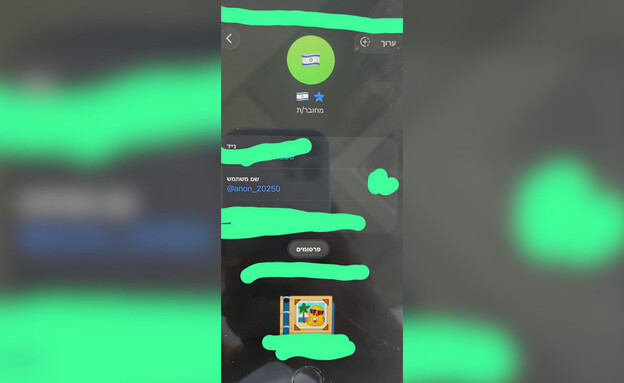 הפרופילים בהם השתמש החשוד הפרופילים בהם השתמש החשוד