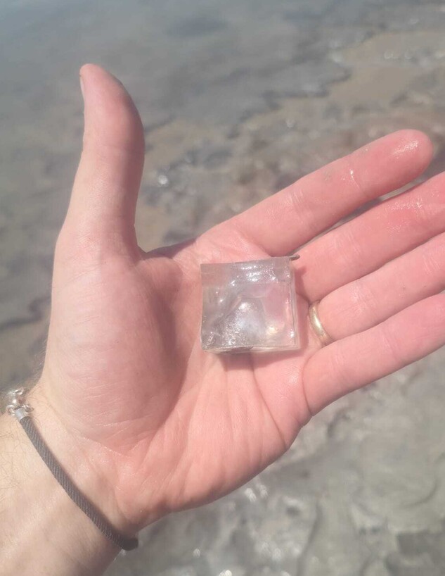 אקסטרים בים המלח אקסטרים בים המלח