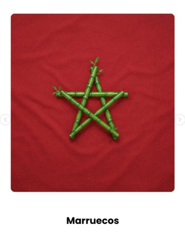 המחווה של איקאה למונדיאל 