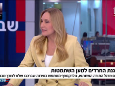 19panelharedim_vtr2_n20260624_v1 (צילום: חדשות)