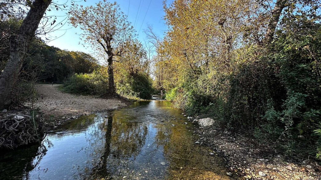 שמורת נחל כזיב שמורת נחל כזיב