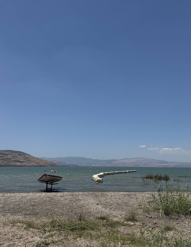 Copy of פטרייה בריכה מעגן עדן כנרת 