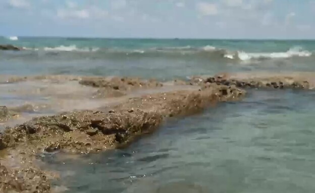 הג'קוזי הטבעי בחוף תל שקמונה
