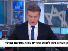 20linaim_vtr2_n20260626_v1 (צילום: חדשות)