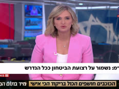 20bbyaron_vtr2_n20260627_v1 (צילום: חדשות)