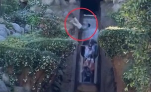 הילד שנפל מהמתקן בדיסנילנד (צילום: רשתות חברתיות לפי סעיף 27א)