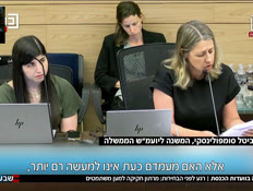 19veada_vtr2_n20260629_v1 (צילום: חדשות)