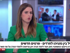 20heredim_vtr2_n20260629_v1 (צילום: חדשות)
