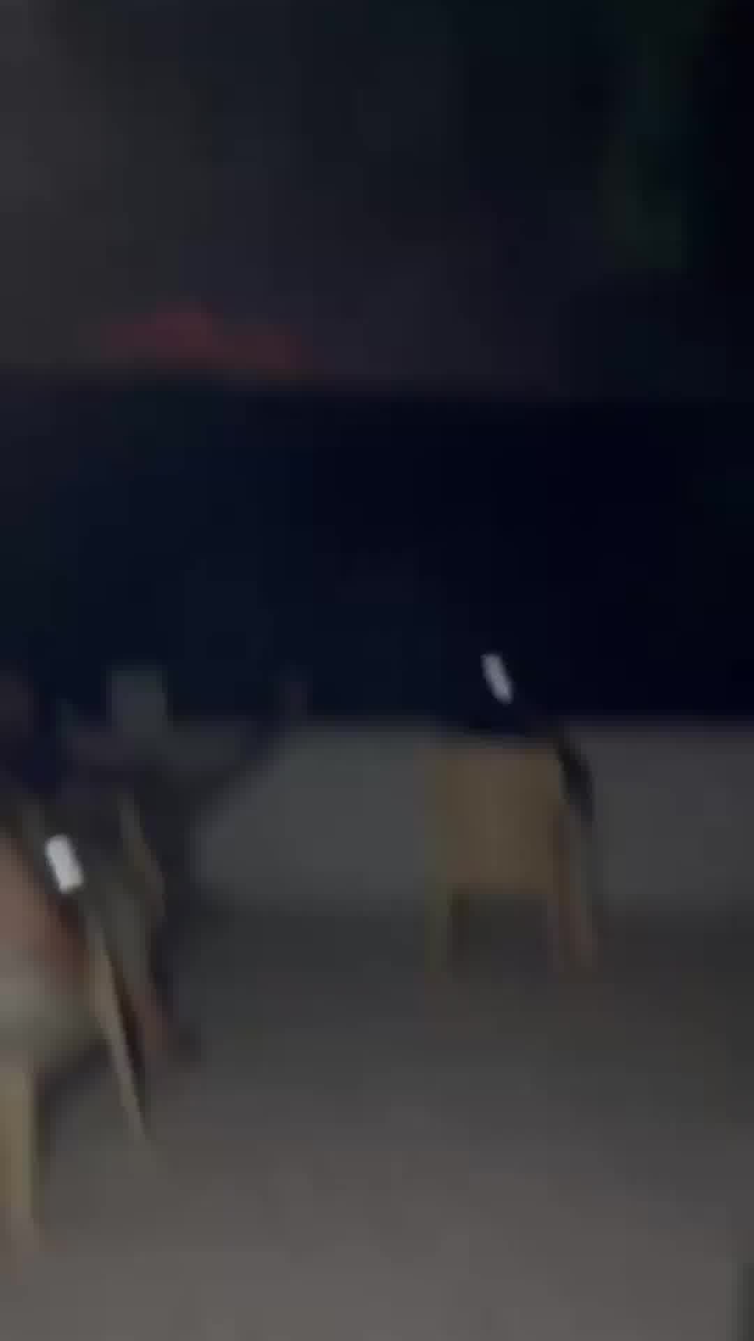 תיעוד נוסף של פיצוץ המנהרה הלילה בדרום לבנון 