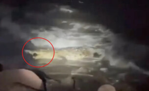 תנין במקסיקו (צילום: לפי 27א לחוק זכויות יוצרים, לפי חוק 27א׳ לזכויות יוצרים)