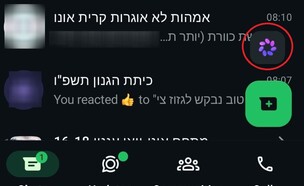 מטא AI בישראל, וואטסאפ (צילום: whatsapp)