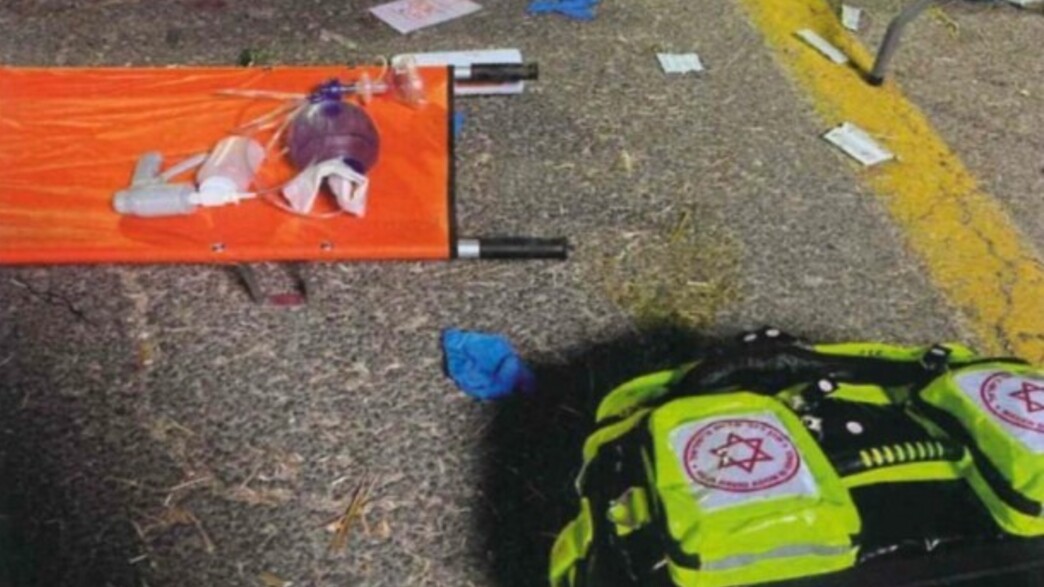 מתוך דוח המבקר