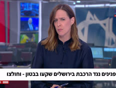 20ibarharedimm_vtr2_n20260702_v1 (צילום: חדשות)