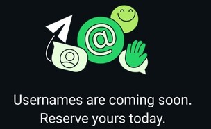 שם משתמש בוואטסאפ (צילום: whatsapp)