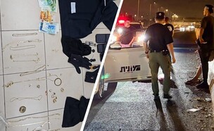 מעצר הפורצים
