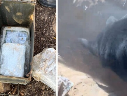 הכלבה שחשפה סמים בשווי מיליוני שקלים: "קשה לבלבל אותה, היא ממוקדת מטרה"