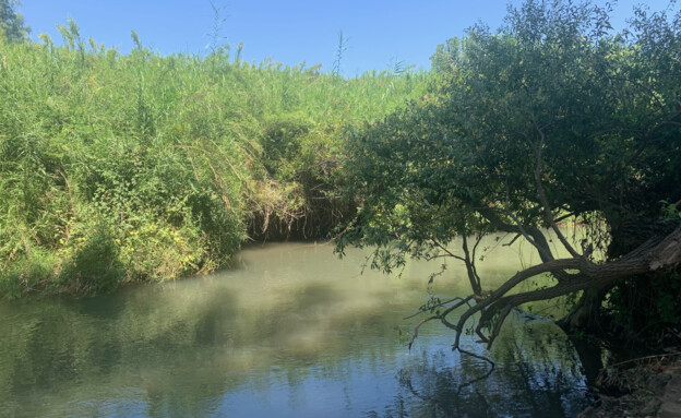 בניאס מחניון האקליפטוס  (צילום: מירב טלמור-קשי)